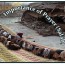 The Importance of Salat (Prayer) in the Life of a Muslim